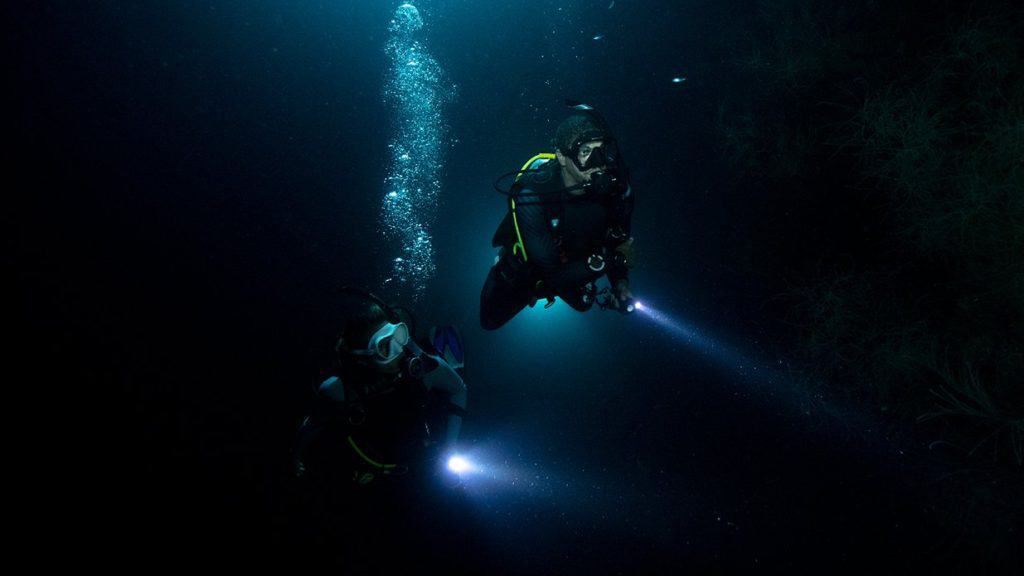 PADI Night Diver, one of the top 5 coolest PADI specialties