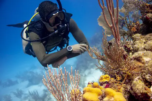 Neutral buoyancy is essential to avoid touching the bottom and damage aquatic life