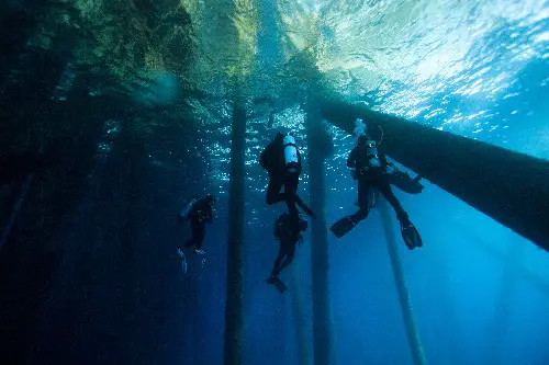 Ascending from a dive using a visual reference