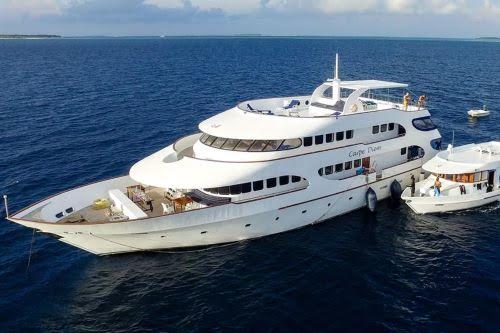 The Carpe Diem Liveaboard offers the Best Value for Money