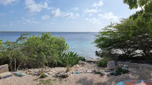 Cliff Dive SIte Bonaire