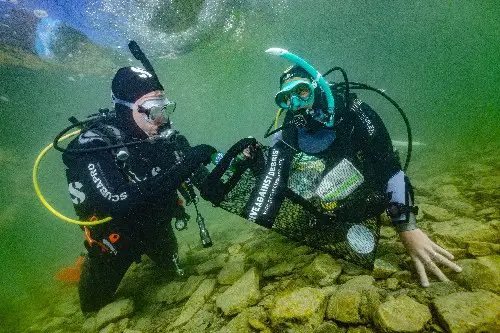 Cold water diving requires an adequate exposure suit