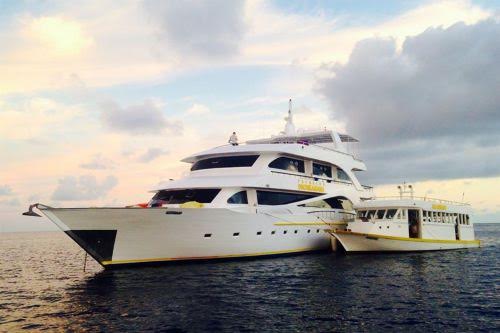 The Princess Dhonkamana offers the Best Price to Quality in the Maldives