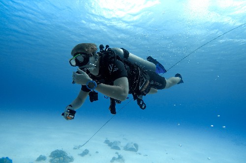 Bonaire is the World's Capital for shore diving