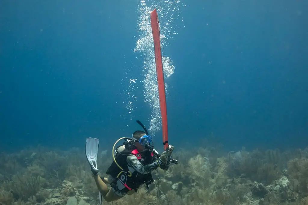 You should perform a safety stop at the end of every dive