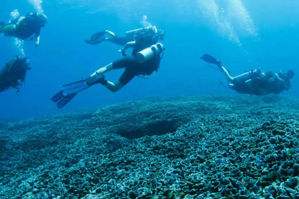 Don't be a bore on your liveaboard and underwater 