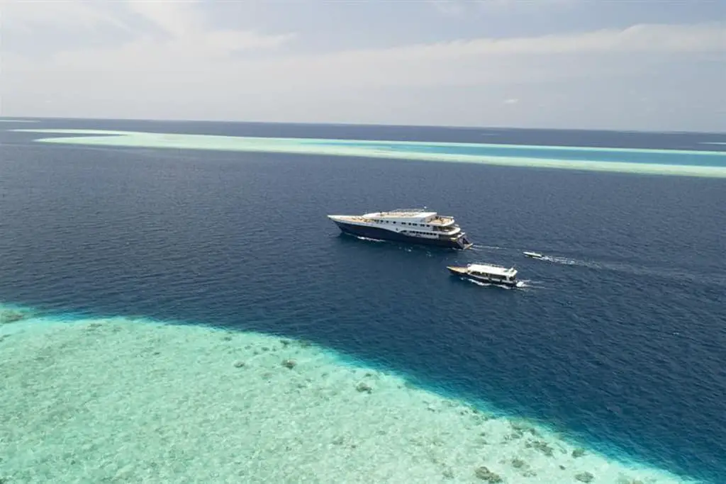 The Scubaspa Yang is a Luxury Liveaboard in the Maldives with Onboard gym, jacuzzi, spa, and cinema