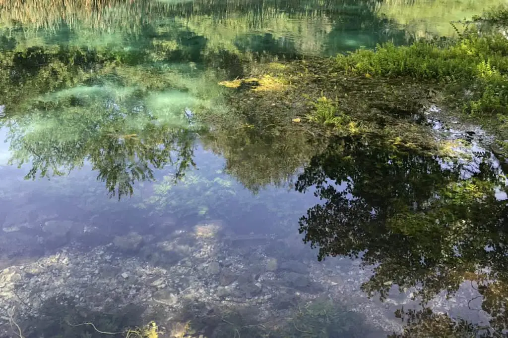 Underwater visibility in Cenotes is unparalleled