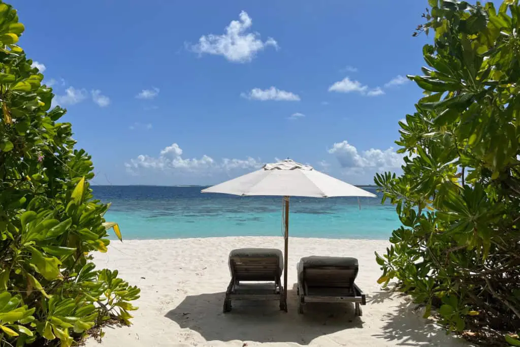 Dive resorts in the Maldives provide a perfect combination between diving and relaxing