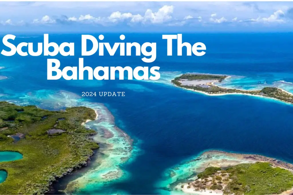 Ultimate Guide to Scuba DIving THe Bahamas