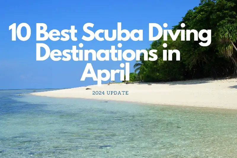 Best Scuba Diving Destinations In April 2024 Scuba Diving Overload
